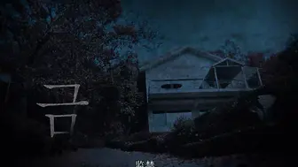 监禁 감금 韩国三级